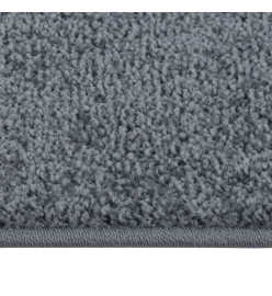 Tapis à poils courts 80x150 cm Anthracite