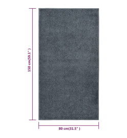 Tapis à poils courts 80x150 cm Anthracite