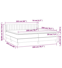 Lit à sommier tapissier et matelas Gris foncé 200x200cm Velours