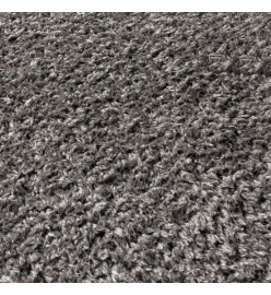 Tapis shaggy à poils hauts Anthracite 140x200 cm 50 mm