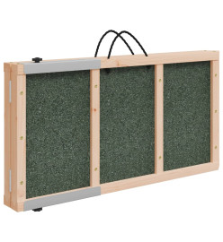 Rampe pour chiens vert 120x30 cm bois de sapin solide