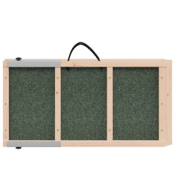 Rampe pour chiens vert 120x30 cm bois de sapin solide