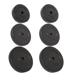 Plaques de poids 6 pcs 30 kg Béton