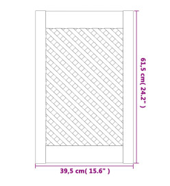 Portes d'armoires en treillis 2 pcs 39,5x61,5 cm pin massif