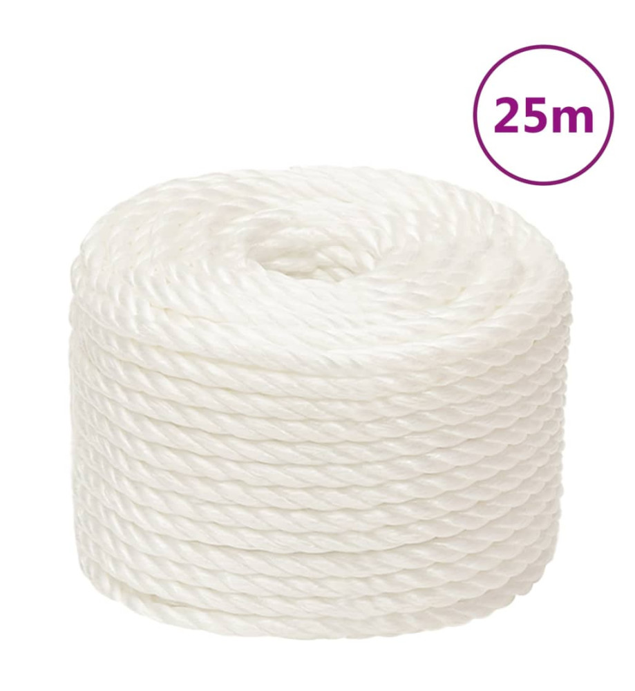 Corde de travail Blanc 10 mm 25 m polypropylène