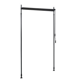 Store roulant d'extérieur 120 x 270 cm Anthracite