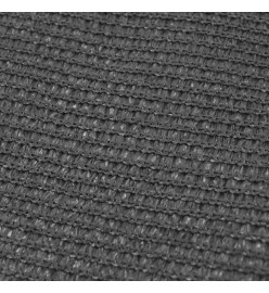 Tapis de tente 250 x 200 cm Anthracite