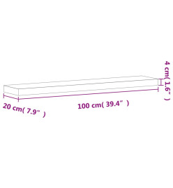 Étagère murale 100x20x4 cm bois massif de hêtre