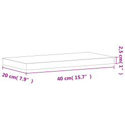 Étagère murale 40x20x2,5 cm bois massif de hêtre