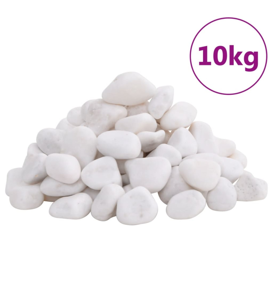 Galets polis 10 kg blanc 2-5 cm