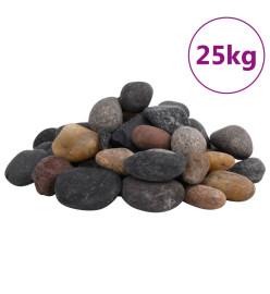 Galets polis 25 kg multicolores 5-8 cm