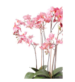 Emerald Phalaenopsis artificiel avec mousse Rose 417662