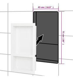 Niche de douche avec 2 compartiments Blanc brillant 41x69x9 cm