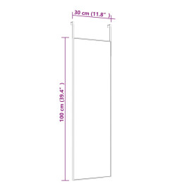 Miroir de porte Noir 30x100 cm Verre et aluminium