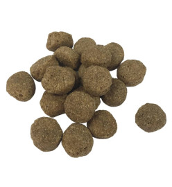 Nourriture sèche pour chiens Adult Essence Beef 15 kg