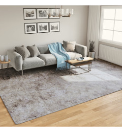 Tapis lavable gris 400x300 cm antidérapant