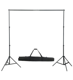 Kit de studio photo avec lampes toile de fond et réflecteur