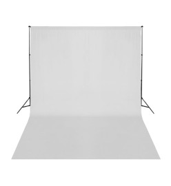 Kit de studio photo avec lampes toile de fond et réflecteur