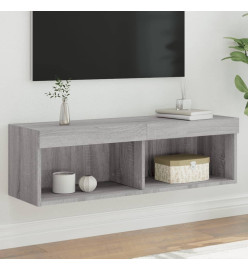 Meuble TV avec lumières LED sonoma gris 100x30x30 cm