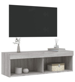 Meuble TV avec lumières LED sonoma gris 100x30x30 cm