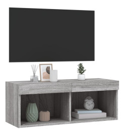 Meuble TV avec lumières LED sonoma gris 80x30x30 cm