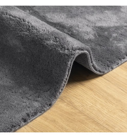 Tapis à poils courts doux et lavable anthracite 160x230 cm