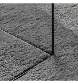 Tapis à poils courts doux et lavable anthracite 160x230 cm