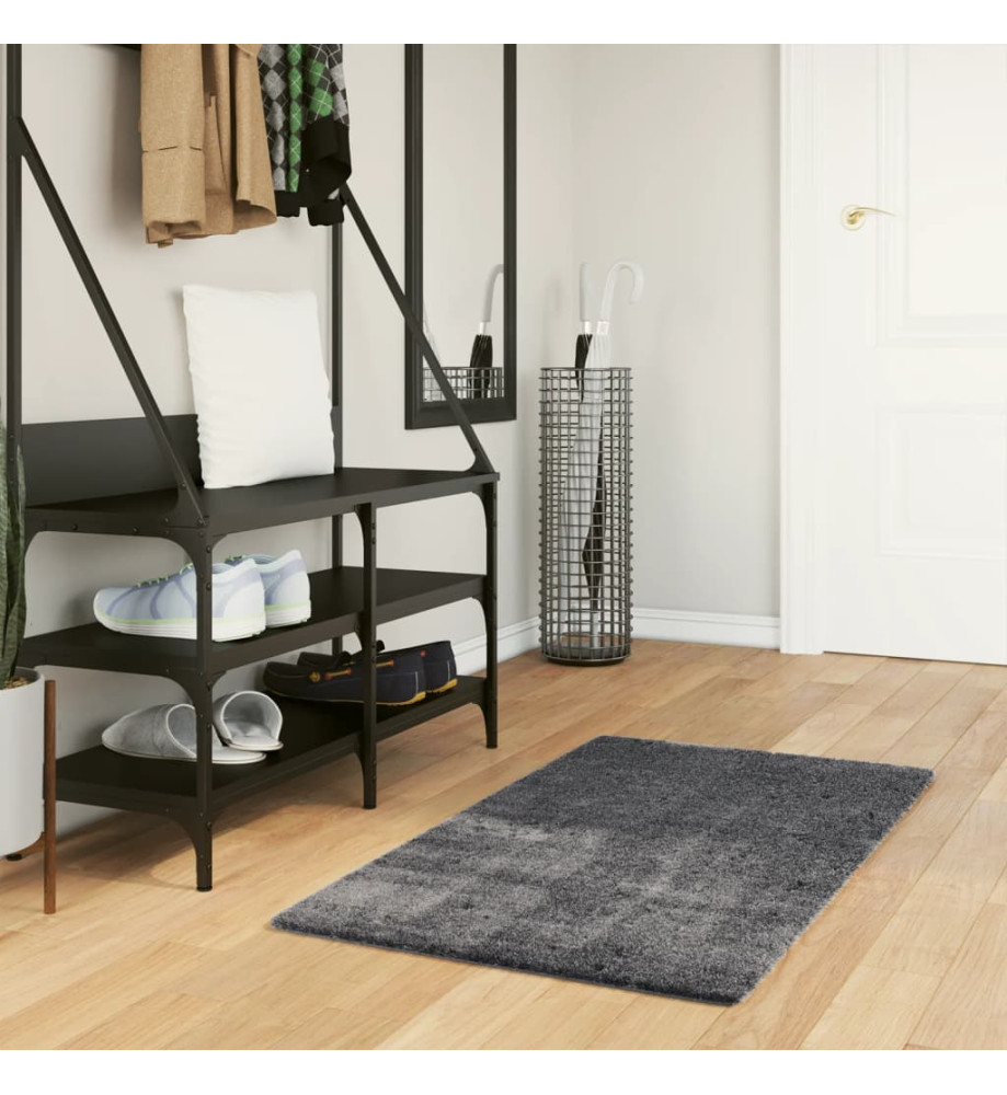 Tapis à poils courts doux et lavable anthracite 60x110 cm Tapis à poils courts doux et lavable anthracite 60x110 cm