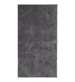 Tapis à poils courts doux et lavable anthracite 60x110 cm