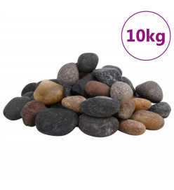 Galets polis 10 kg multicolores 5-8 cm