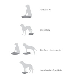 FitPAWS Disque d'équilibre pour animaux de compagnie 36 cm