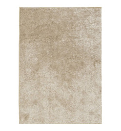 Tapis ISTAN à poils longs aspect brillant beige 140x200 cm