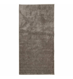 Tapis ISTAN à poils longs aspect brillant gris 100x200 cm