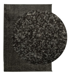 Tapis ISTAN à poils longs aspect brillant anthracite 200x280 cm