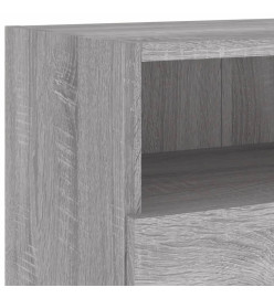 Meubles TV muraux 2pcs sonoma gris 100x30x30 cm bois ingénierie