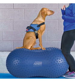 FitPAWS Plate-forme d'équilibre pour animaux de compagnie 60 cm Bleu