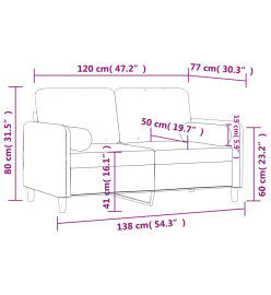 Canapé 2 places avec oreillers décoratifs noir 120 cm velours