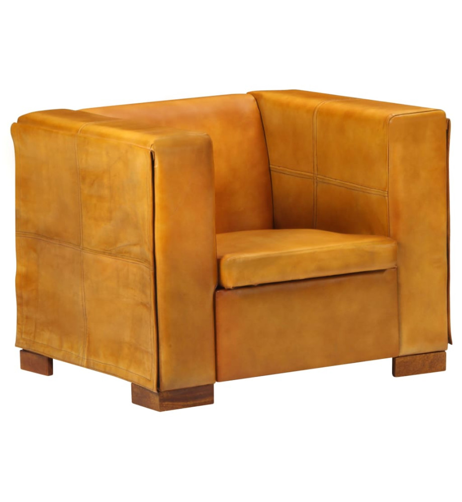 Fauteuil Brun roux Cuir véritable