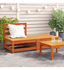 Canapé de jardin sans accoudoirs repose-pieds bois pin massif