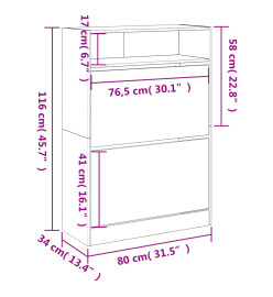 Armoire à chaussures 2 tiroirs rabattables noir 80x34x116 cm