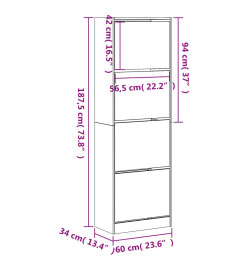 Armoire à chaussures 4 tiroirs rabattables noir 60x34x187,5 cm