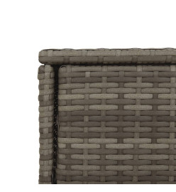Armoire de rangement de jardin gris 105x55x113cm résine tressée