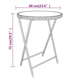 Ensemble de bistro 5 pcs Résine tressée et verre trempé Gris