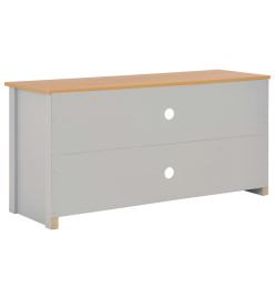 Meuble TV Gris 120x39x58 cm