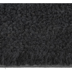 Tapis de porte noir 50x80 cm fibre de coco touffeté