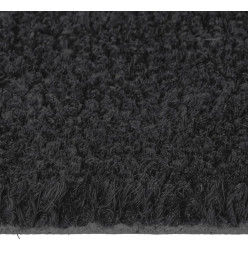 Tapis de porte noir 60x90 cm fibre de coco touffeté