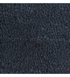 Tapis de porte gris foncé 40x60 cm fibre de coco touffeté