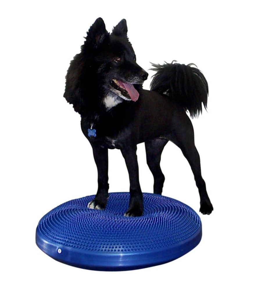 FitPAWS Disque d'équilibre pour animaux de compagnie 56 cm Bleu