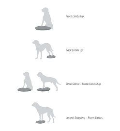 FitPAWS Disque d'équilibre pour animaux de compagnie 56 cm Bleu