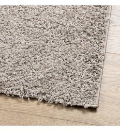 Tapis shaggy à poils longs moderne beige 80x150 cm